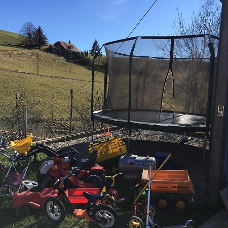 3,5 Zimmerferienwohnung Schwalbenaescht Rueeggisberg Екстериор снимка